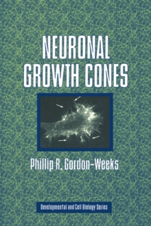 Image for Neuronal Growth Cones
