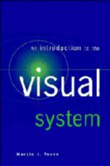 Introduction to the Visual System