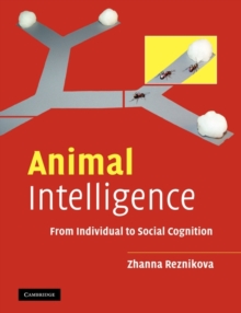 Animal Intelligence