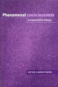 Phenomenal Consciousness