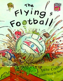 Image for The flying football