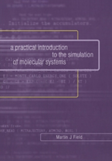 Practical Introduction to the Simulation of Molecular Systems