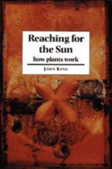 Reaching for the Sun