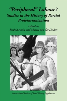 Image for Peripheral labour  : studies in the history of partial proletarianization
