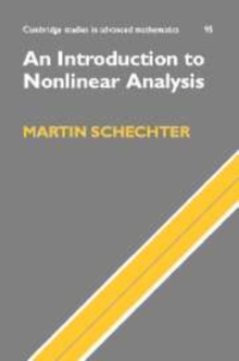 Introduction to Nonlinear Analysis