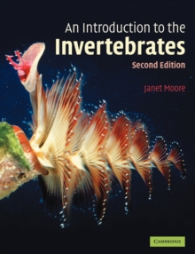 Image for Introduction to the invertebrates