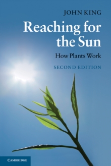 Image for Reaching for the Sun