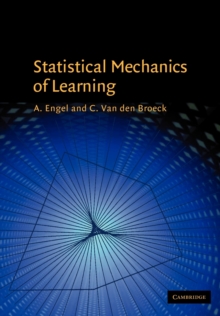 Statistical Mechanics of Learning