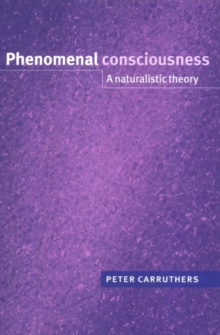 Phenomenal Consciousness