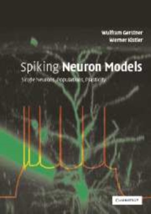 Image for Spiking Neuron Models
