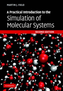 Practical Introduction to the Simulation of Molecular Systems