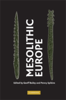 Image for Mesolithic Europe