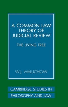 Common Law Theory of Judicial Review