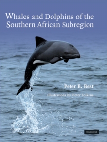 Image for Whales and Dolphins of the Southern African Subregion