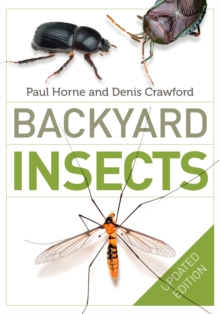 Image for Backyard insects