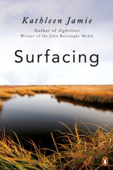 Image for Surfacing