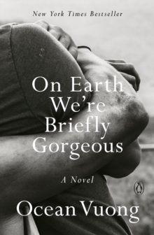 Image for On earth we're briefly gorgeous: a novel