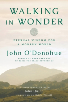 Image for Walking in wonder: eternal wisdom for a modern world