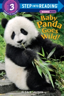 Image for Baby Panda Goes Wild!
