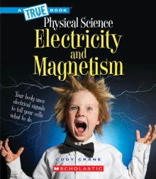 Image for Electricity and Magnetism (A True Book: Physical Science)