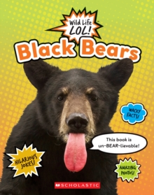 Image for Black Bears (Wild LIfe LOL!)