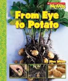Image for From Eye to Potato (Scholastic News Nonfiction Readers: How Things Grow)