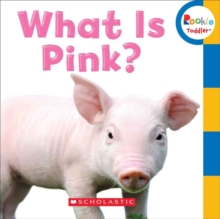 Image for What Is Pink? (Rookie Toddler)