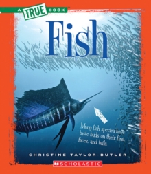 Image for Fish (A True Book: Animal Kingdom) (Library Edition)