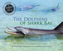 Image for The dolphins of Shark Bay