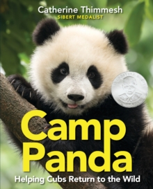 Image for Camp Panda  : training cubs to survive in the wild