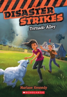 Image for Disaster Strikes #2: Tornado Alley