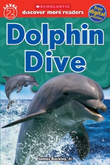 Image for Scholastic Discover More Reader Level 2: Dolphin Dive