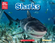 Image for Sharks in a Box