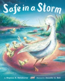 Image for Safe in a Storm