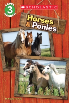 Image for Horses and Ponies (Scholastic Reader, Level 3)