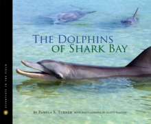 Image for Dolphins of Shark Bay