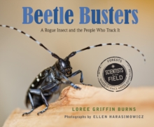 Image for Beetle Busters : A Rogue Insect and the People Who Track It