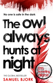 Image for The owl always hunts at night