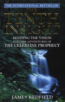 Image for The tenth insight  : holding the vision