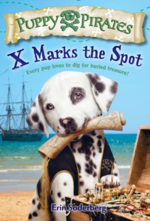 Image for X marks the spot