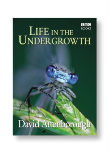 Image for Life in the undergrowth