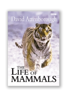Image for The life of mammals