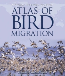 Image for The atlas of bird migration  : tracing the great journeys of the world's birds