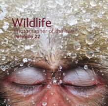 Image for Wildlife photographer of the yearPortfolio 22