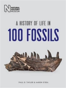 Image for A history of life in 100 fossils