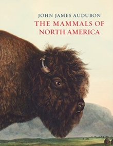 The Mammals of North America