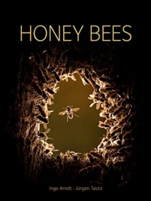 Image for Honey Bees