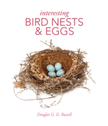 Image for Interesting Bird Nests and Eggs