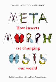 Image for Metamorphosis  : how insects are changing our world