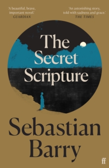 Image for The secret scripture: a novel